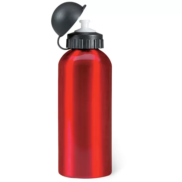 Alumīnija ūdens pudele Biscing 600ml